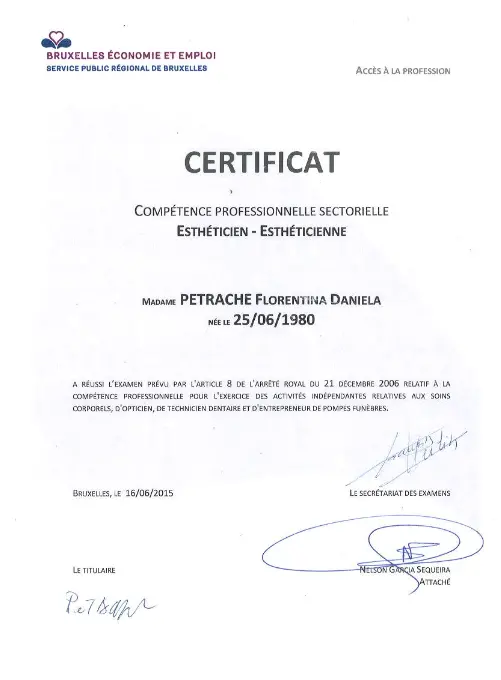 certificate_daniartem (9)