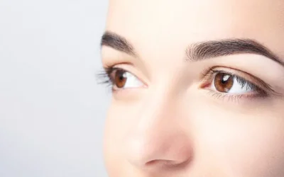 Eyebrow Styling Course Brussels – Tweezing & Tinting Made Easy